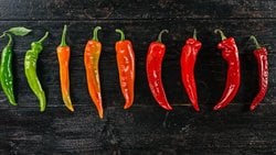 Acı Tat Duyusu Nasıl Oluşur? Acı Tatların Farklı Dereceleri Nasıl Ölçülür? Acı Tat Nasıl Geçirilir?