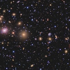 Galaxies of the Perseus Cluster