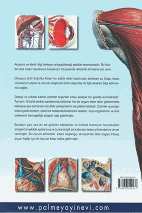 Anatomi Atlası Sobotta Çizimleri