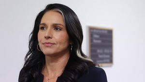 Tulsi Gabbard's Intelligence Nomination Under Fire As Senators Raise Questions