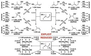 New Study Reveals Breakdown Pathways Of Isoprene Through Hydroxyl Radicals