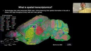 New Statistical Method Enhances Detection Of Spatial Genes