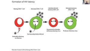 Distinct HIV-1 Reservoirs Revealed Through Innovative Research Methods