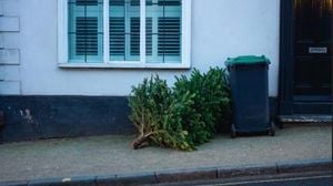 Holiday Cleanup Rules Guide Folsom And UK Residents
