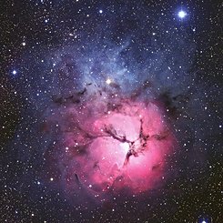 The Trifid Nebula from AAO