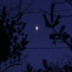 An Unusual Venusian Oval