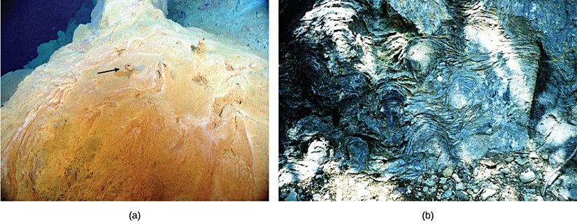 (a) Bu mikrobiyal mat, Pasifik Okyanusu'ndaki bir hidrotermal bacanın üzerinde büyümektedir. Okla gösterilen bacalar gazların dışarı çıkmasını sağlar. (b) Bu fotoğraf Montana'daki Glacier Ulusal Parkı'nda bulunan yaklaşık 1.5 milyar yıllık stromatolitleri göstermektedir.