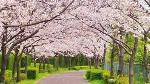 Japan Welcomes Spring With Warm Weather And Pollen Alert