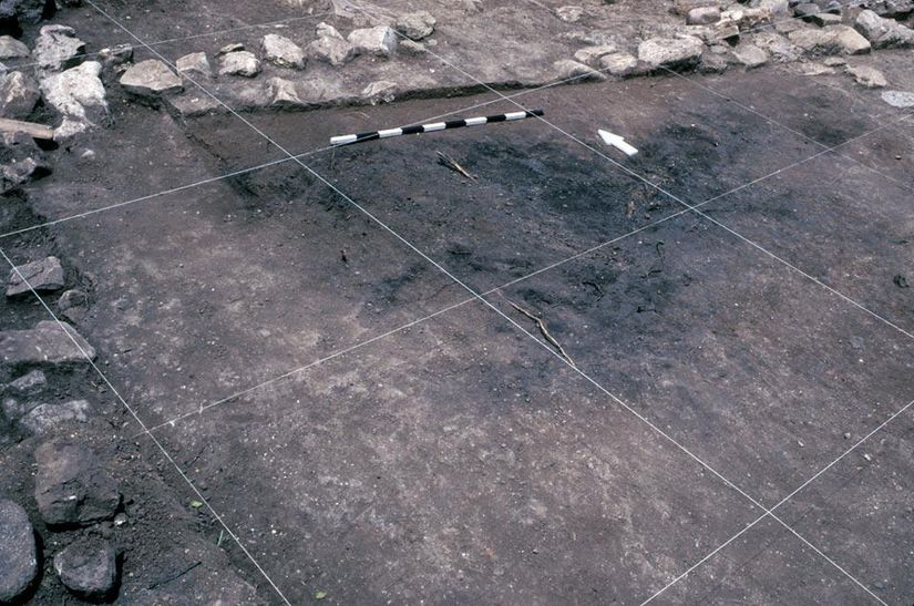 Izgara bir buluntunun, çevresindeki diğer buluntulara göre konumlandırılmasına yardımcı olur.