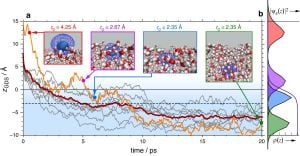 Water Molecules Drive Key Electron Dissociation Process