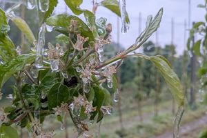 Poland Faces Chilly Frost Warnings As May Begins
