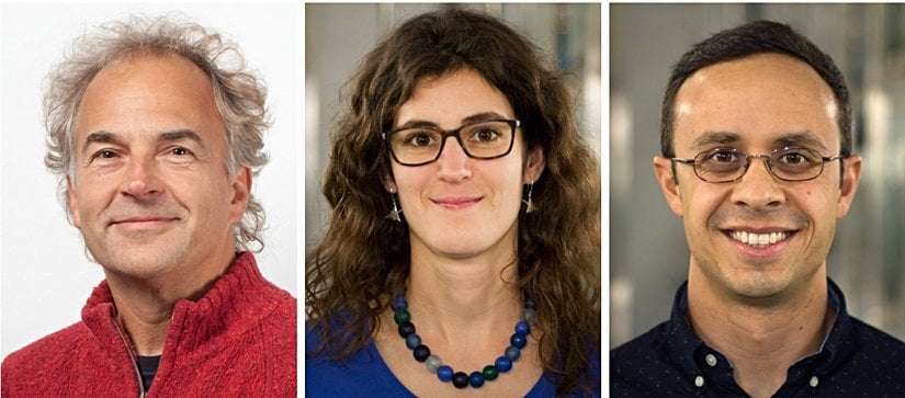 Bern Üniversitesi Ekoloji ve Evrim Enstitüsü'nde su ekolojisi bölümünün başı Ole Seehausen; Cambridge Üniversitesi Zooloji Bölümünden Joana Meier ve Seehausen'in Bern Üniversitesi'ndeki laboratuvarında doktora sonrası araştırmacısı olan David Marques.