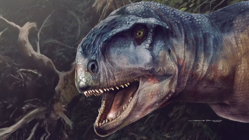 Son Derece Güçlü, Etobur Bir Yırtıcı Dinozor Keşfedildi: "Korkuya Neden Olan", Nam-ı Diğer "Llukalkan aliocranianus"!