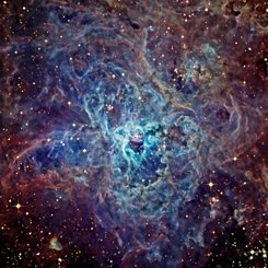 The Cosmic Web of the Tarantula Nebula