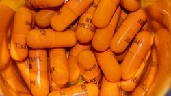 Amphetamines and Their Effects: Is It Possible to Become Super-Intelligent Overnight?