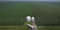 The American Farmers China Is Using as a Trade-War Bargaining Chip