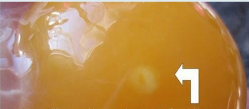 Unfertilized egg. Look at the blastodisk's faded and irregular ring shape.