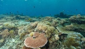 Innovative Technologies Boost Marine Conservation Efforts