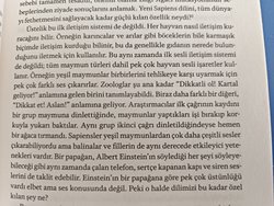 Yeşil maymunlar arasındaki iletişim deneyinin kaynağı var mı?