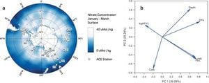 Iron-Binding Organic Compounds Redefine Southern Ocean Biogeochemistry