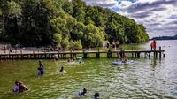 Fears for Windermere as tests reveal chemical pollution