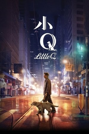 小Q