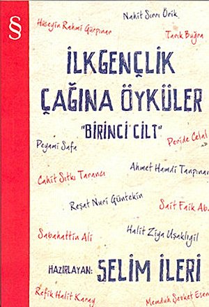 İlk Gençlik Çağına Öyküler