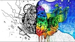 Yaratıcılığın Gerçek Sinirbilimi: Sağ ve Sol Beyin Safsatasına Artık Son Verin!