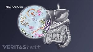 HUTECH University Hosts Workshop On Gut Microbiota