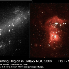 Bright Stars, Dim Galaxy