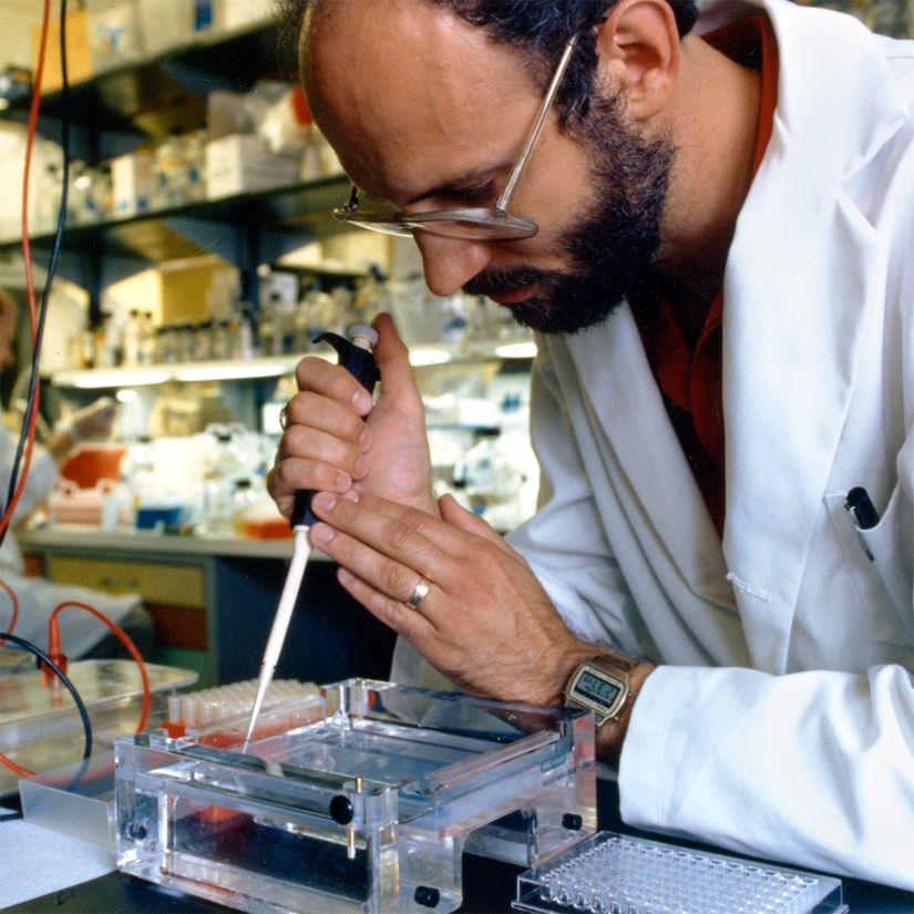 Bir İnsan Genom Projesi araştırmacısı, jel elektroforezi yapmak için bir DNA örneğini agaroz jele pipetle aktarıyor.