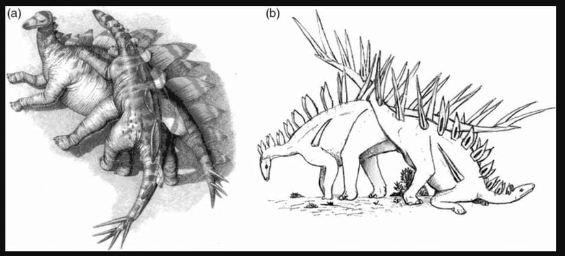stegosaurus çiftleşme pozisyonu