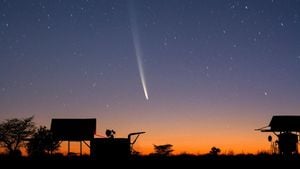 Comet Tsuchinshan-ATLAS Dazzles Skywatchers Worldwide