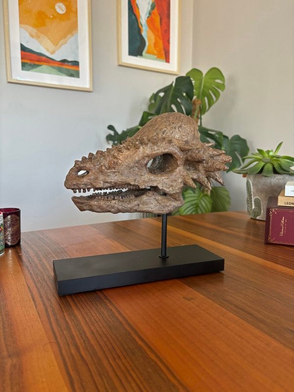 Pachycephalosaurus Seramik Heykel