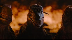 PRİMİTİVE WAR FİLM İNCELEMESİ VE ELEŞTİRİSİ