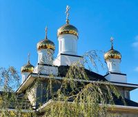 Вербное воскресенье в 2025 году: дата, суть и традиции