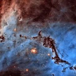 N11: Star Clouds of the LMC