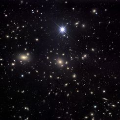 The Coma Cluster of Galaxies