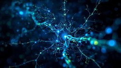 Optogenetik: Işıkla Nöron Programlama