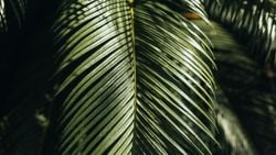 Yeraltı: Yarışa Veda