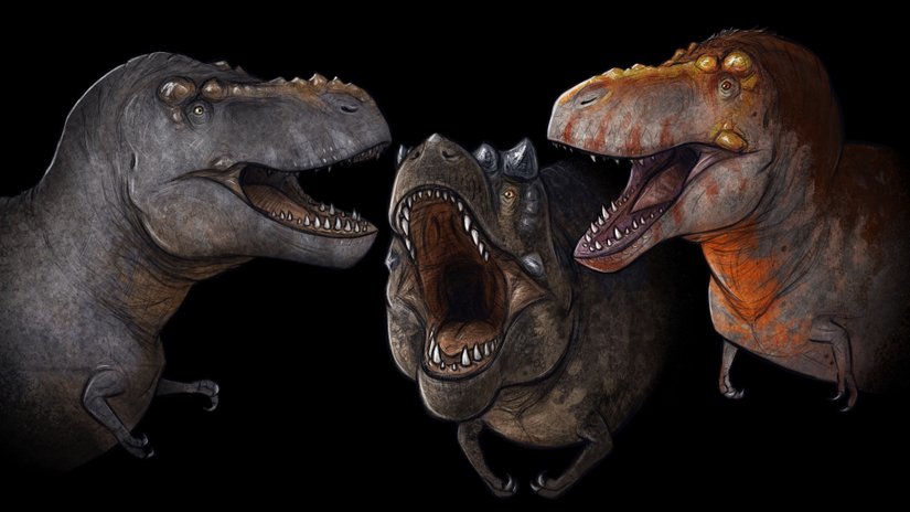 Jurassic Park'ın Başrolündeki Tyrannosaurus Cinsi Altında Gerçekte 3 Farklı Dinozor Türü Olabilir mi?