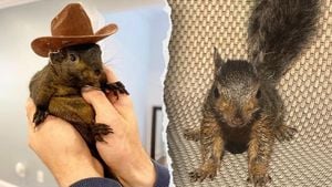 Peanut The Squirrel Becomes Symbol Of Government Overreach