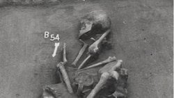 Macaristan'da Tunç Çağı Mezarlığı MÖ 1500'de Köklü Yaşam Değişikliklerini Ortaya Çıkardı!