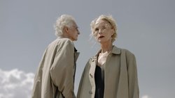 A, C Vitaminleri ve L-Karnitin: Gençlik İksiri mi, Hücresel Destek mi?