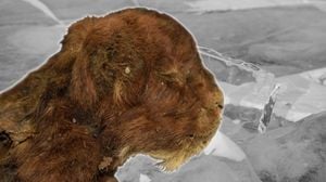 Siberian Permafrost Reveals 35,000-Year-Old Saber-Toothed Kitten