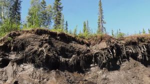 Arctic Tundra Transforms From Carbon Sink To Carbon Source