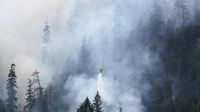 Firefighter from Oregon detained by Border Patrol while fighting wildfire