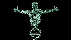 Bencil Gen Teorisi Nedir? Evrimin Gen Merkezci Modeli Bize Neler Öğretir?