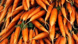 E. Coli Outbreak Causes Carrot Recall And Hospitalizations