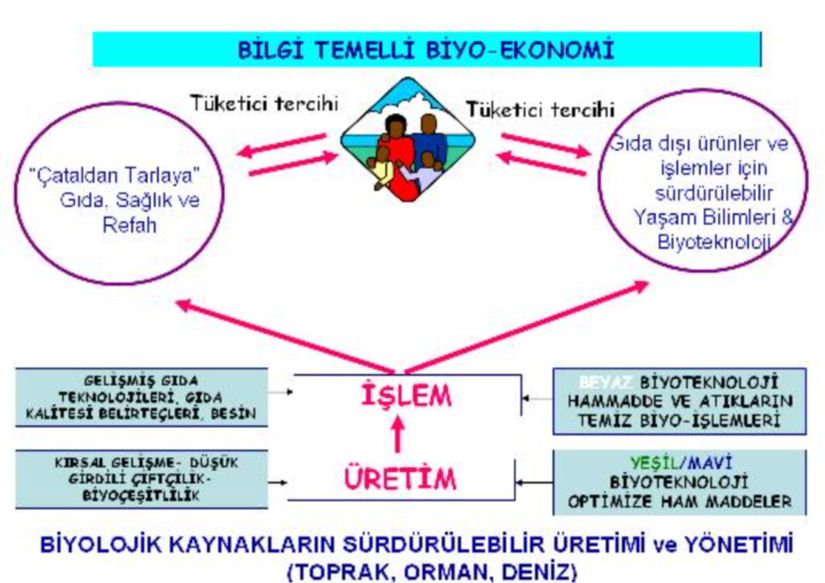 Gıda üretimi endüstriyel tarımsal biyoteknoloji
